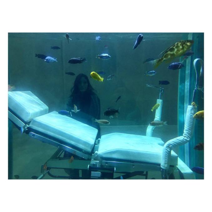 12380283_10206956224438639_1839506224_n