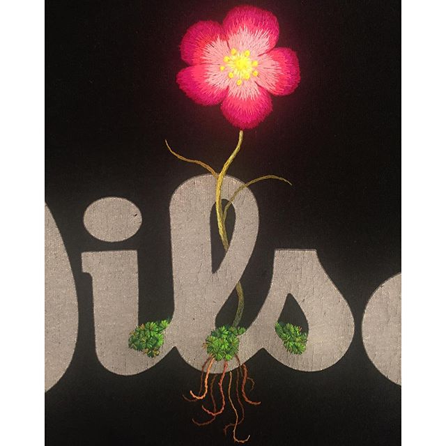 12301414_1704973086403592_1249214701_n